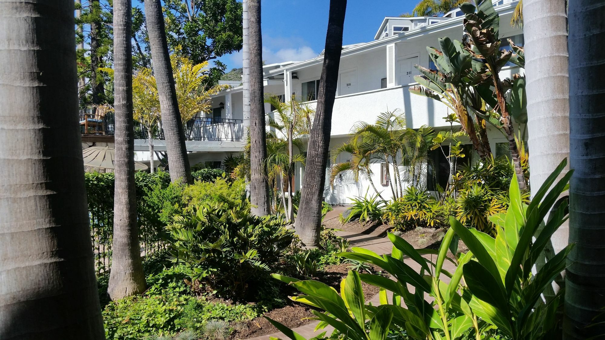 拉古纳海滩小屋酒店 拉古纳比奇 外观 照片